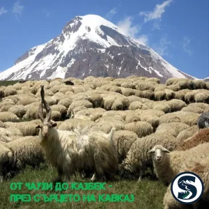 SKIATO TRIP Georgia - From Chaukhi to Kazbek – Through the Heart of the Caucasus