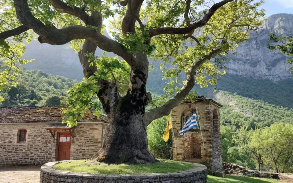 SKIATO Trip Greek Mountains - Село Микро Папиго - чинарът