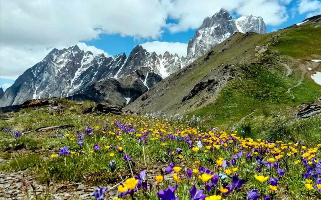 SKIATO TRIP "The Flower Gardens of Svaneti"